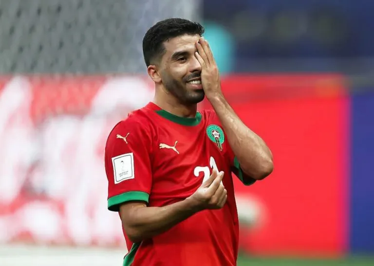 كريم البركاوي