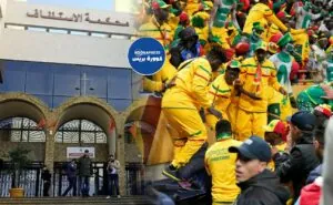 نهائي